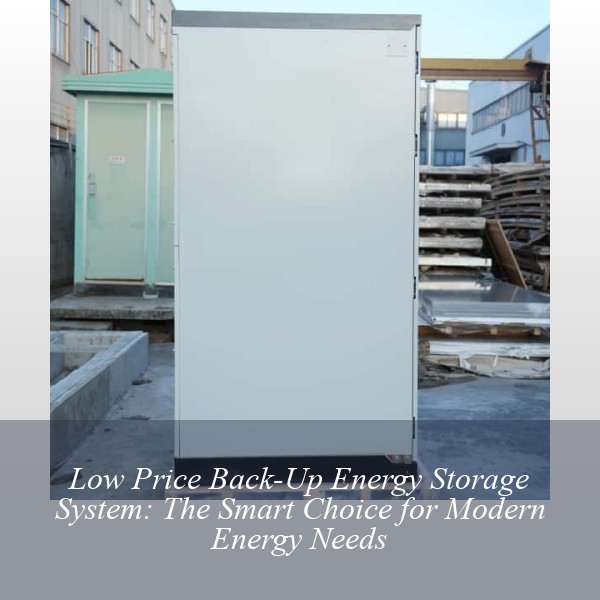 Low Price Back-Up Energy Storage System: The Smart Choice for Modern Energy Needs